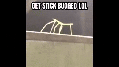 Get Stick Bugged LOL